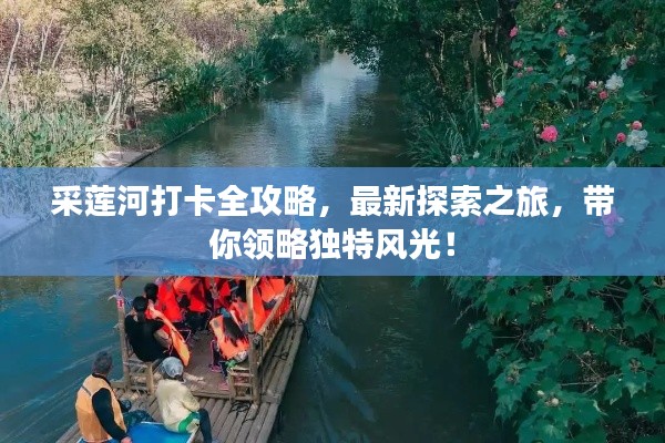 乌鸟之情 第3页