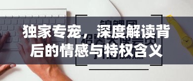 独家专宠，深度解读背后的情感与特权含义