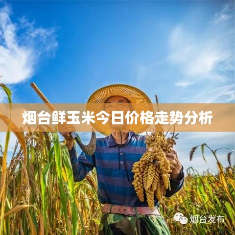 刚毅木讷 第3页