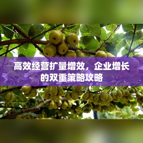 金石为开 第2页