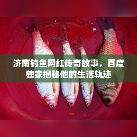 司空见惯 第3页