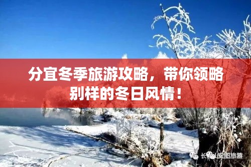 插翅难飞 第3页