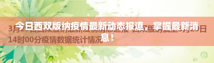 披肝沥胆 第4页