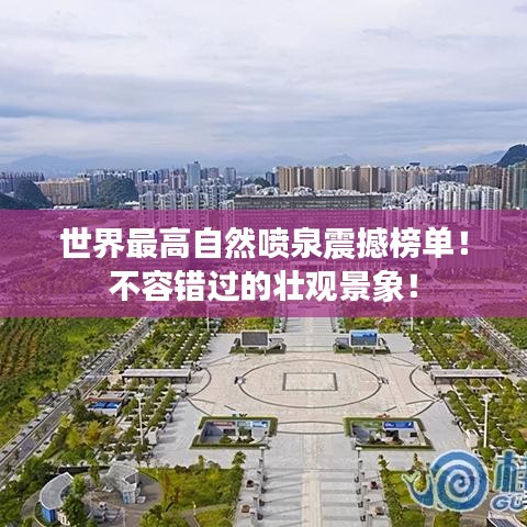 百鸟齐鸣 第3页