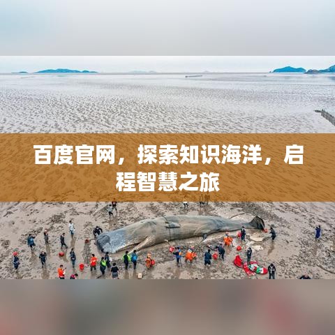 齿白唇红 第3页