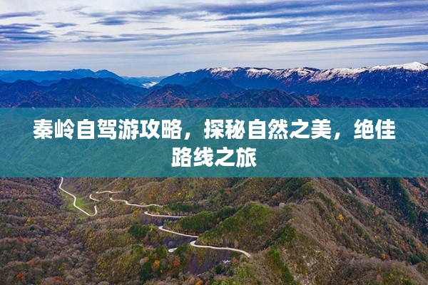 秦岭自驾游攻略，探秘自然之美，绝佳路线之旅