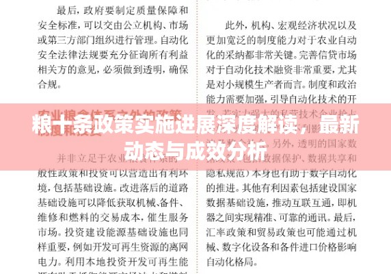 粮十条政策实施进展深度解读，最新动态与成效分析