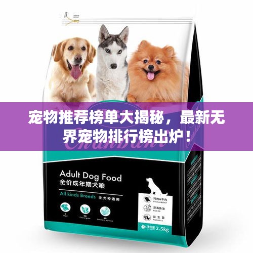 宠物推荐榜单大揭秘,最新无界宠物排行榜出炉!