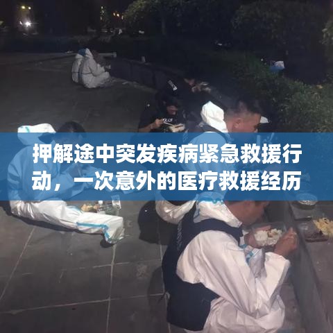 悬驼就石 第3页