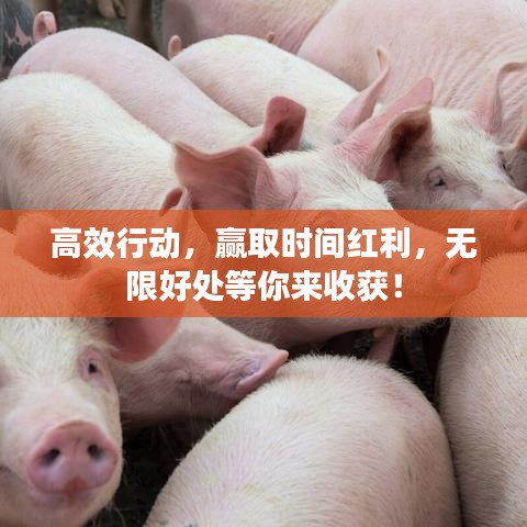 七贵三公 第3页