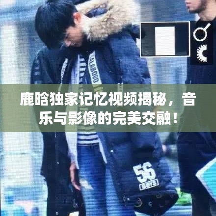 雍容华贵 第3页