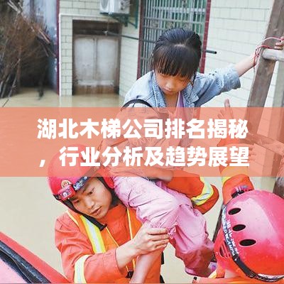 湖北木梯公司排名揭秘，行业分析及趋势展望