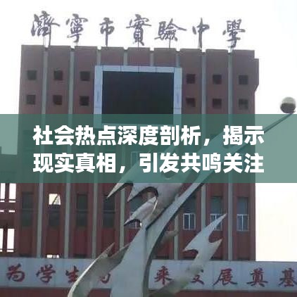 社会热点深度剖析，揭示现实真相，引发共鸣关注