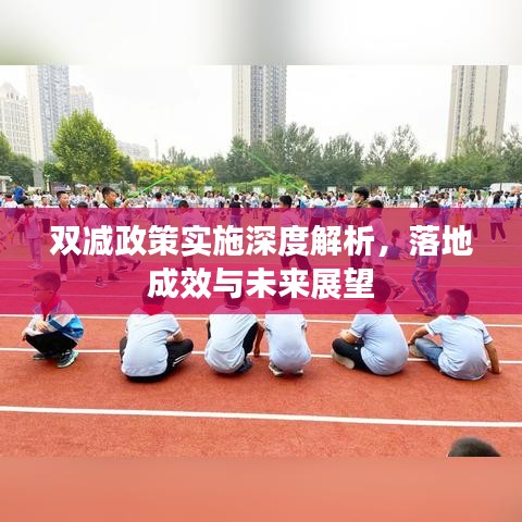双减政策实施深度解析，落地成效与未来展望