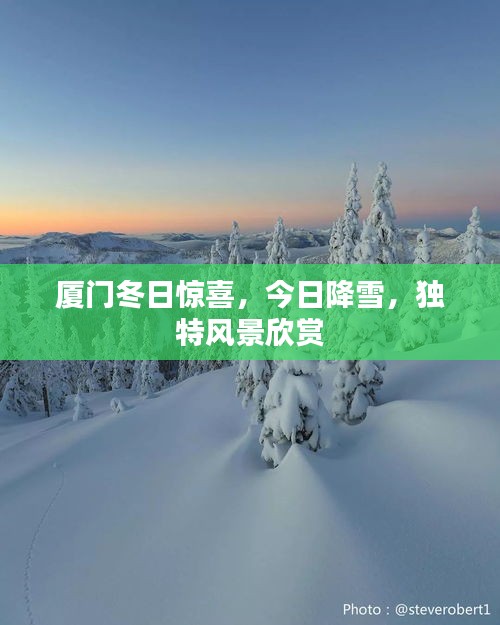雍容典雅 第3页