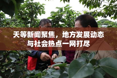 天等新闻聚焦，地方发展动态与社会热点一网打尽