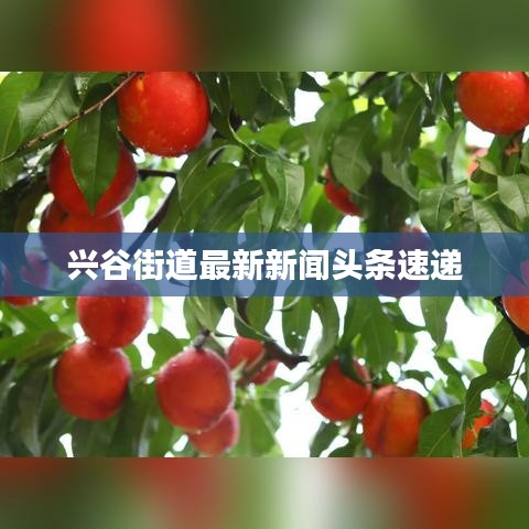 标新立异 第3页