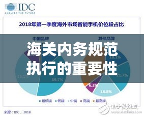 海关内务规范执行的重要性、不足及对策探讨，深度解析内务管理之道