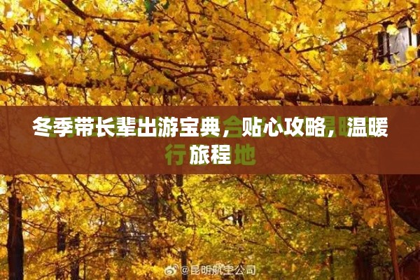 鸟声兽心 第3页