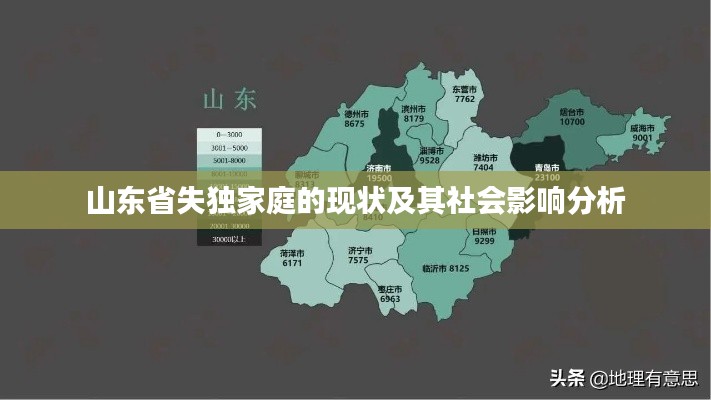 山东省失独家庭的现状及其社会影响分析