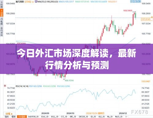 今日外汇市场深度解读，最新行情分析与预测