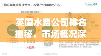 英国水费公司排名揭秘，市场概况深度解析