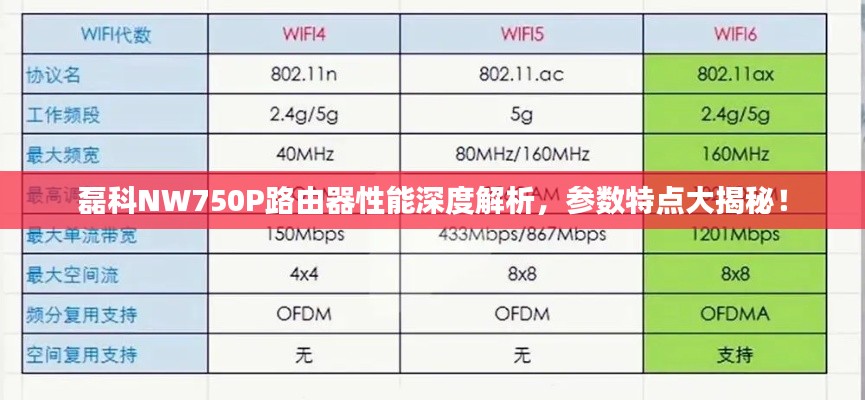 磊科NW750P路由器性能深度解析，参数特点大揭秘！
