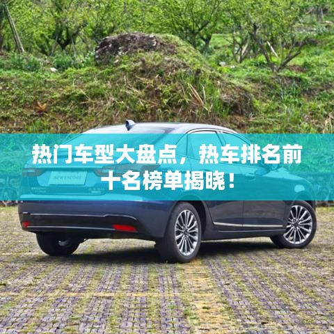 毛手毛脚 第3页