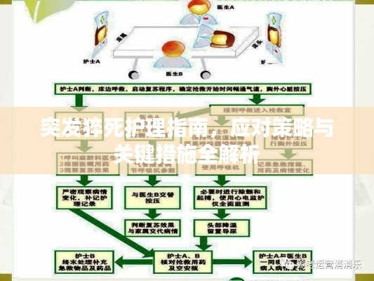 突发猝死护理指南，应对策略与关键措施全解析