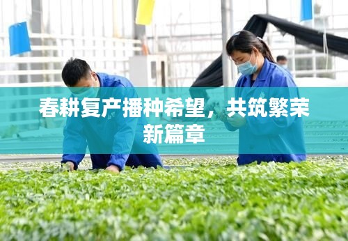 不飞则已 第2页