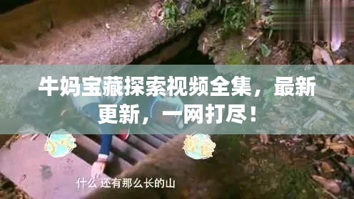 笔走如飞 第3页