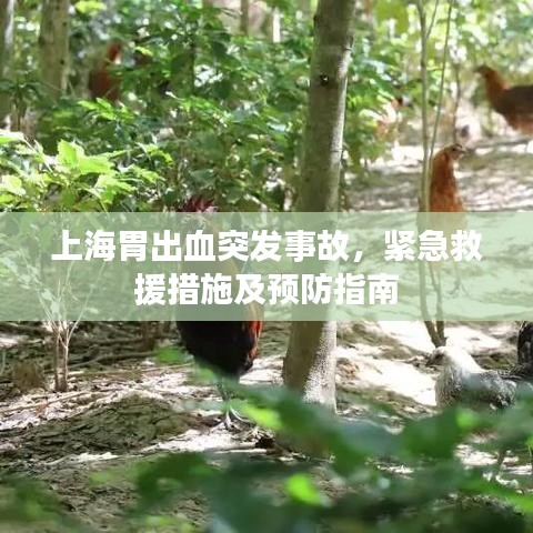 别出新意 第3页