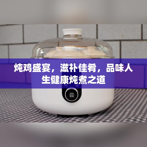 炖鸡盛宴，滋补佳肴，品味人生健康炖煮之道