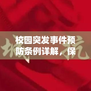 校园突发事件预防条例详解，保障学生安全的关键措施