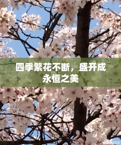 还淳反朴 第3页