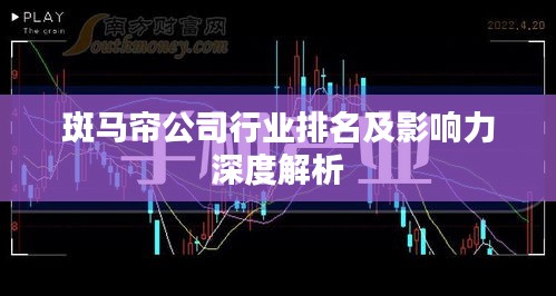 斑马帘公司行业排名及影响力深度解析