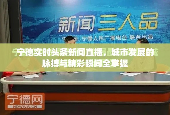 宁德实时头条新闻直播，城市发展的脉搏与精彩瞬间全掌握