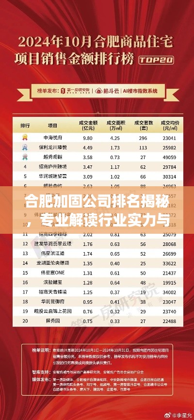 合肥加固公司排名揭秘，专业解读行业实力与选择指南