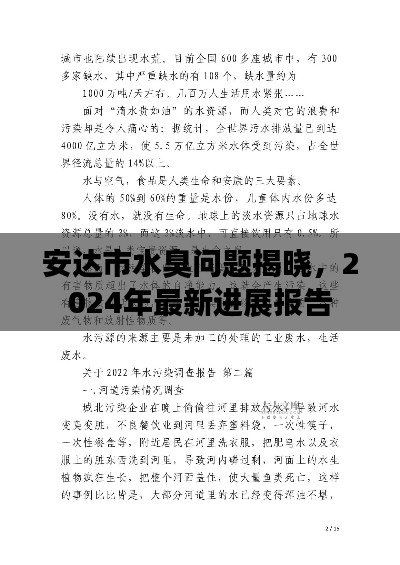 安达市水臭问题揭晓，2024年最新进展报告
