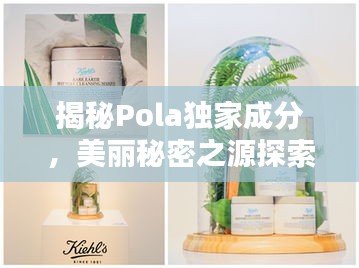揭秘Pola独家成分，美丽秘密之源探索