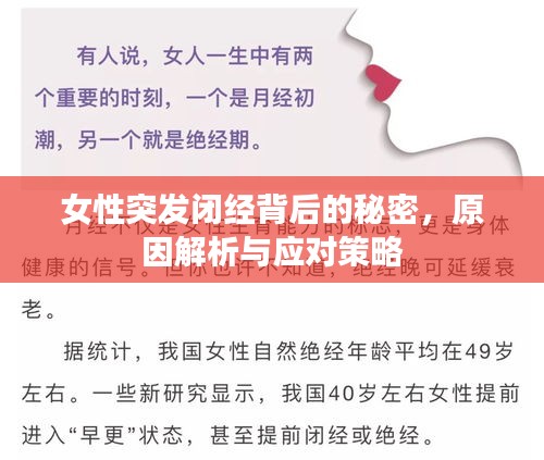 女性突发闭经背后的秘密，原因解析与应对策略