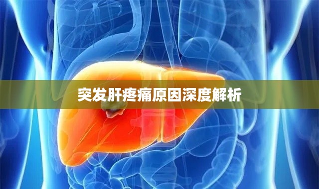 突发肝疼痛原因深度解析