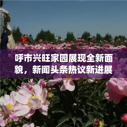 夯雀儿先飞 第3页