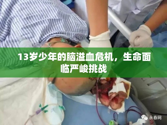 轻飞曼舞 第2页