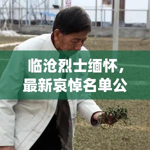 大张旗鼓 第2页
