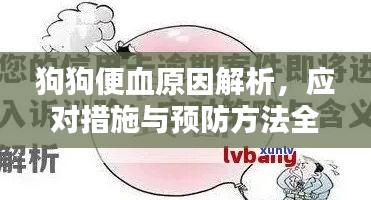 狗狗便血原因解析，应对措施与预防方法全攻略