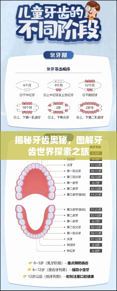 公司介绍 第107页