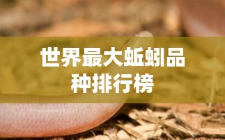 鸟惊鱼骇 第2页