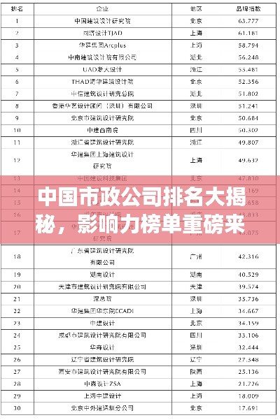 中国市政公司排名大揭秘，影响力榜单重磅来袭！