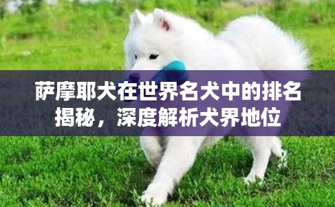 临危不惧 第2页
